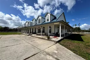 31243 Bear Pond Dr, Sorrento, FL 32776 - Photo 13