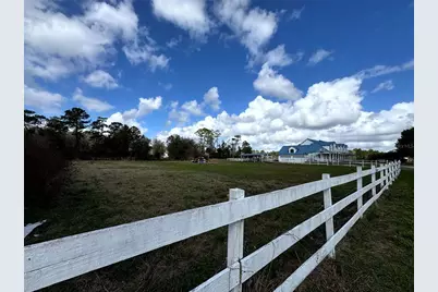 31243 Bear Pond Drive, Sorrento, FL 32776 - Photo 5