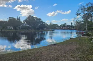 4075 Shoreside Cir, Tampa, FL 33624 - Photo 29