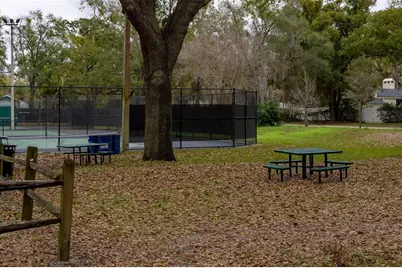 414 E 5th Avenue, Windermere, FL 34786 - Photo 53