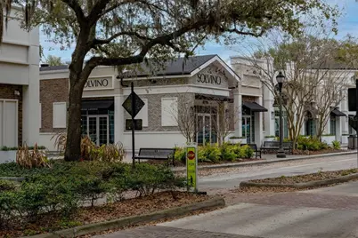 414 E 5th Avenue, Windermere, FL 34786 - Photo 39