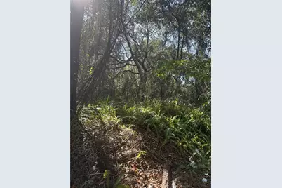 E Franklin Street, Oviedo, FL 32765 - Photo 3