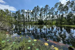 4300 Justa Rd, Mims, FL 32754 - Photo 11