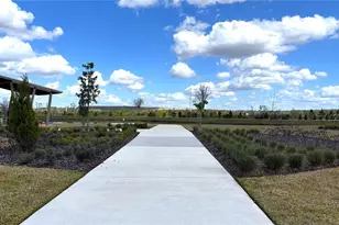 10318 Evening Horizon St, Orlando, FL 32829 - Photo 23