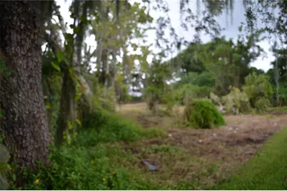 0 SE 3rd Street Street, Interlachen, FL 32148 - Photo 1