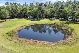 2321 Waccassa St, Geneva, FL 32732 - Photo 3