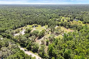 2321 Waccassa St, Geneva, FL 32732 - Photo 7