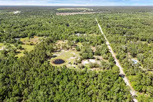2321 Waccassa St, Geneva, FL 32732 - Photo 9