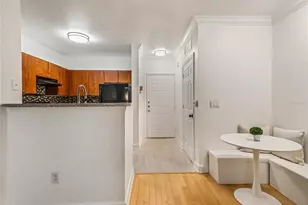 202 E South St, Orlando, FL 32801 - Photo 7