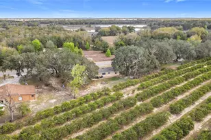 17331 County Rd 33, Groveland, FL 34736 - Photo 31