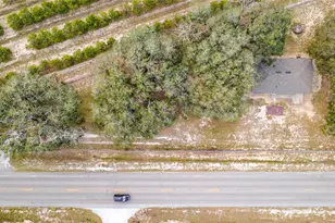 17331 County Rd 33, Groveland, FL 34736 - Photo 27