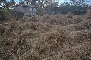 421 1st St, Orlando, FL 32824 - Photo 17