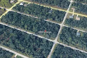 14068 Carrie Ave, Port Charlotte, FL 33953 - Photo 1