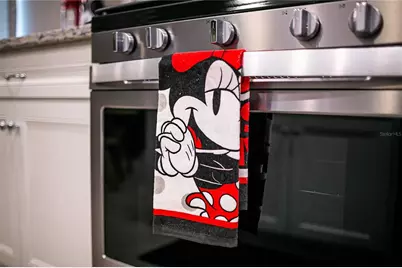 7336 Oakmoss Loop, Davenport, FL 33837 - Photo 81