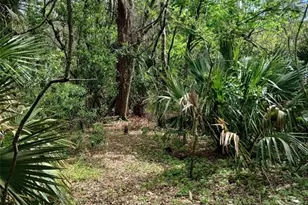E Hubbard Ave, Deland, FL 32724 - Photo 1