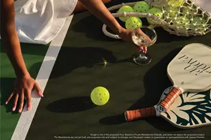 10160 Autumn Mist Ln, Orlando, FL 32836 - Photo 27