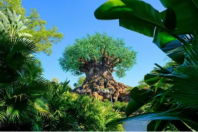 8512 Sunrise Key Drive, Kissimmee, FL 34747 - Photo 61