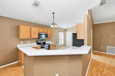 319 Pleasant Gardens Drive, Apopka, FL 32703 - Photo 9