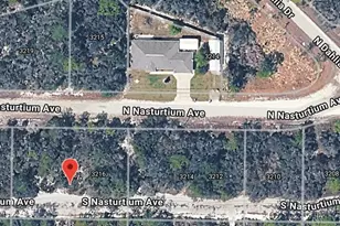 3218 Gossamer Ave, Lake Placid, FL 33852 - Photo 3