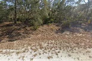 3218 Gossamer Ave, Lake Placid, FL 33852 - Photo 1