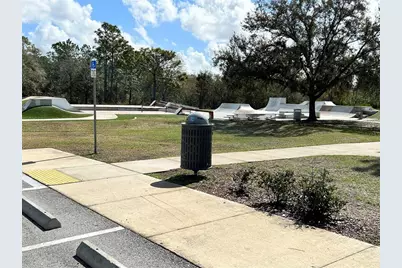 15020 Eaglerise Drive, Lithia, FL 33547 - Photo 33