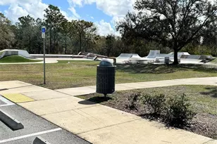 15020 Eaglerise Dr, Lithia, FL 33547 - Photo 33