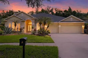 15020 Eaglerise Dr, Lithia, FL 33547 - Photo 1