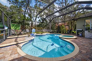 15020 Eaglerise Dr, Lithia, FL 33547 - Photo 23