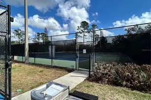 15020 Eaglerise Dr, Lithia, FL 33547 - Photo 35