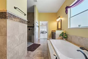 204 Bengal Cir, Oldsmar, FL 34677 - Photo 19