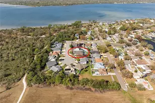 204 Bengal Cir, Oldsmar, FL 34677 - Photo 31