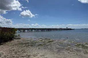 204 Bengal Cir, Oldsmar, FL 34677 - Photo 33