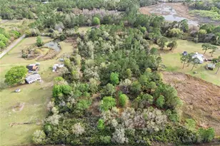 541 E Osceola Rd, Geneva, FL 32732 - Photo 1