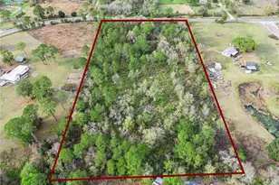 541 E Osceola Rd, Geneva, FL 32732 - Photo 3