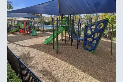 12804 Salomon Cove Drive, Windermere, FL 34786 - Photo 33