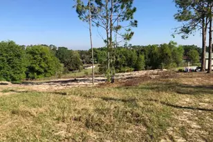 Windy Hill Dr, Eustis, FL 32726 - Photo 1