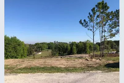 Windy Hill Drive, Eustis, FL 32726 - Photo 7