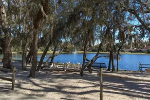 432 Stanton Pl, Longwood, FL 32779 - Photo 41
