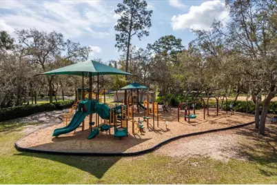 432 Stanton Place, Longwood, FL 32779 - Photo 39