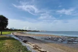 2502 Tropical Shores Dr SE, Saint Petersburg, FL 33705 - Photo 63