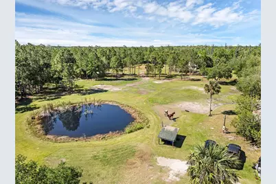 2321 Waccassa Street, Geneva, FL 32732 - Photo 1