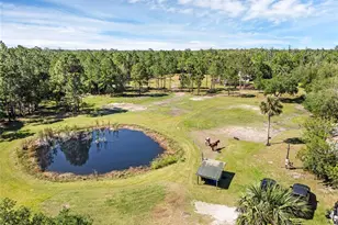 2321 Waccassa St, Geneva, FL 32732 - Photo 1