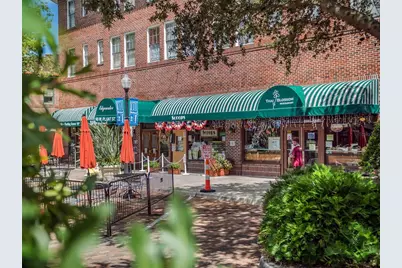 744 Lake Brim Drive, Winter Garden, FL 34787 - Photo 83