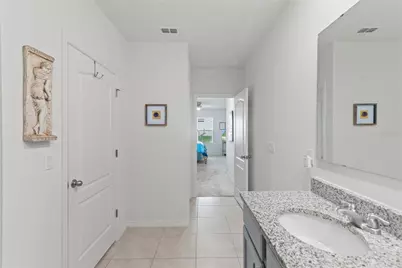 3817 Heartleaf Lane, Mount Dora, FL 32757 - Photo 17