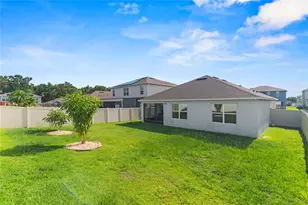 3817 Heartleaf Ln, Mount Dora, FL 32757 - Photo 27