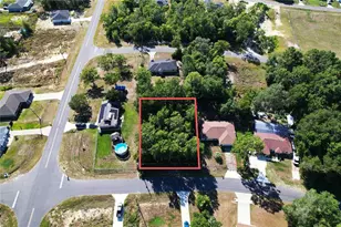 Bahia Ct Terrace, Ocala, FL 34472 - Photo 1