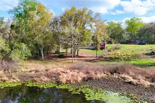 18225 SE 22nd Pl, Silver Springs, FL 34488 - Photo 15