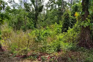 Marjorie Blvd, Longwood, FL 32750 - Photo 1