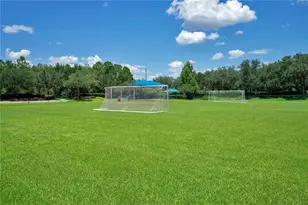 2615 Lakemoor Dr, Orlando, FL 32828 - Photo 69