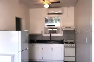 1401 E Alfred St, Tavares, FL 32778 - Photo 5